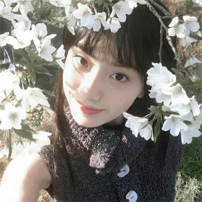 绽放的玫瑰